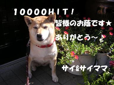 ありがとう~!_c0049950_21474278.jpg