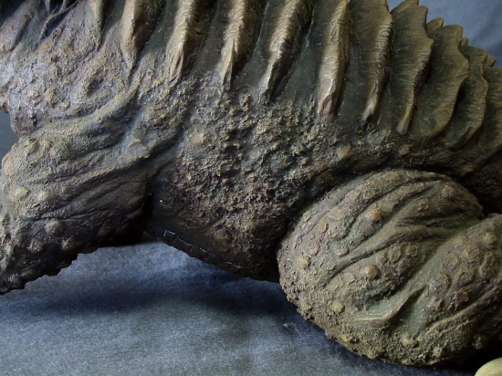 ウェーブ/イノウエアーツ バラゴン : ゴジラだらけ