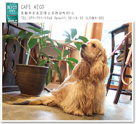 CAFE NICO（京都）_d0003736_564055.jpg
