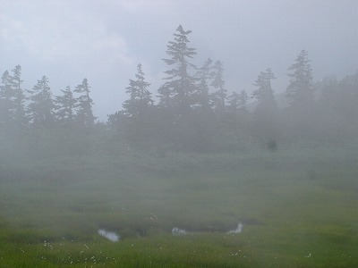 d0055236_11125096.jpg