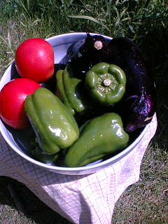 c0020551_14142235.jpg