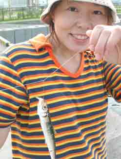 やたー_e0026053_15174122.jpg