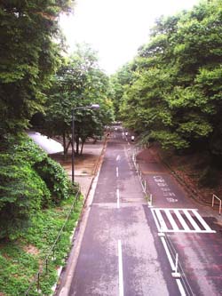 e0052268_16113284.jpg