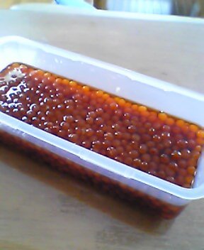 b0043980_134930100.jpg