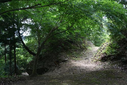 e0024081_14195622.jpg