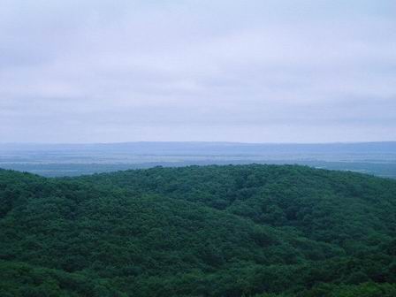 b0005001_12936.jpg