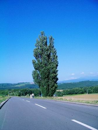 b0005001_24333.jpg