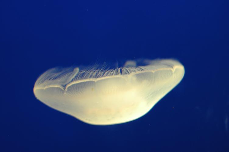 d0053710_1512321.jpg
