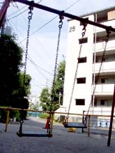 ＊み・みつけた！＊　　2005,8,23_a0030038_23465289.jpg