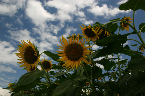 b0067346_13466.jpg