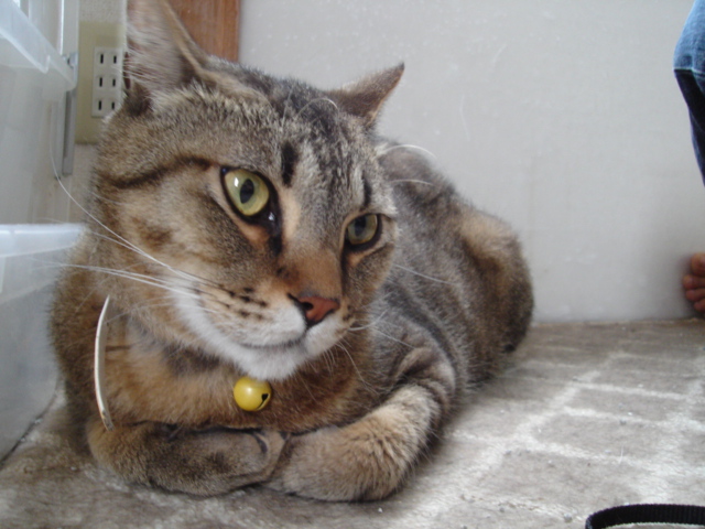 仙人_e0003660_23273764.jpg