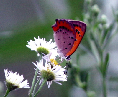 e0018678_22561383.jpg