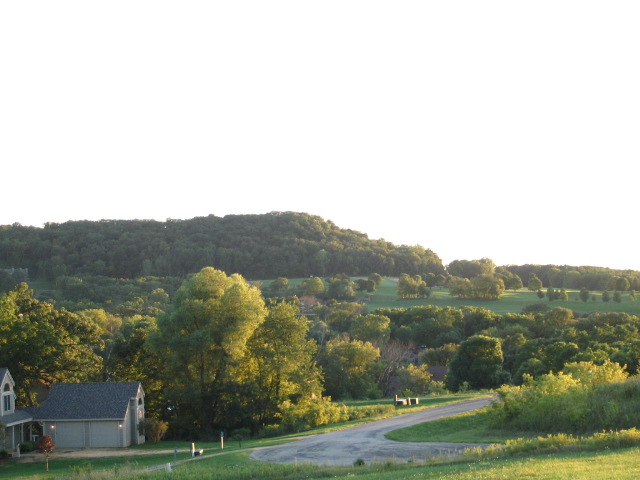 c0030479_52143.jpg