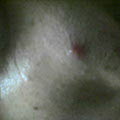 c0049287_15646.jpg