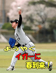 ロード勝ち越し決定！赤星祭りにイガーも行っとく？_a0019994_21474646.gif