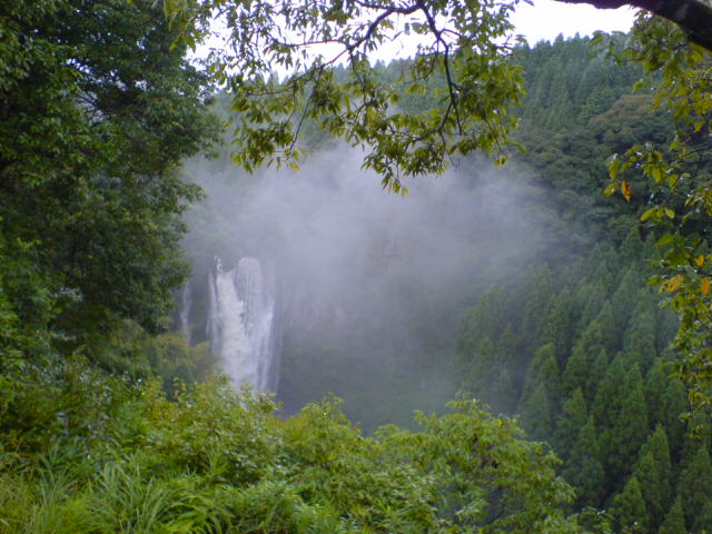 らりなーにゃ、鹿児島へ行く_b0031903_20394825.jpg