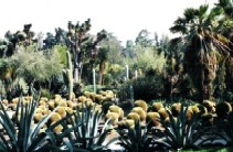 Huntington Library 7_c0062603_1329926.jpg