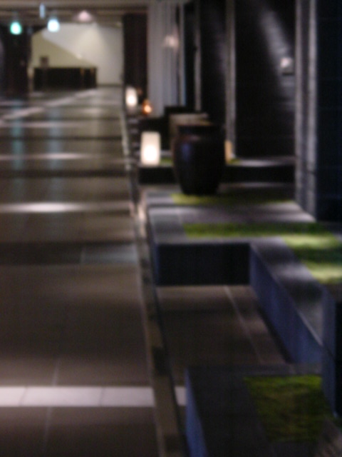 c0002614_93351.jpg