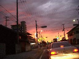 a0024829_851173.jpg