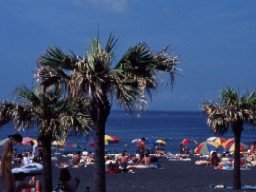 c0002431_136587.jpg