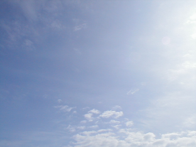 a0004449_2013523.jpg