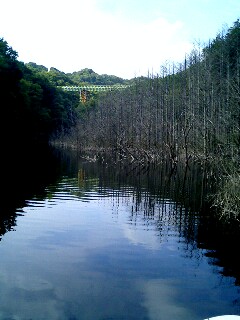 c0025471_11533819.jpg