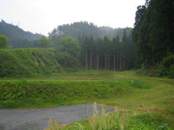 b0038381_87419.jpg