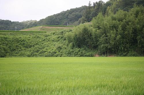 e0024081_8502885.jpg