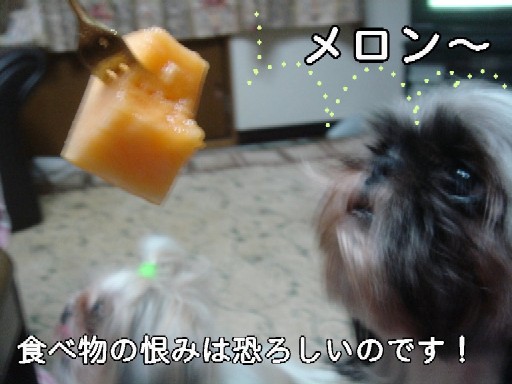 c0038983_12392967.jpg