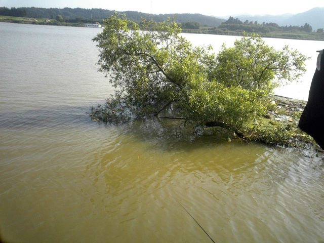 県南の釣り場_a0026890_145442.jpg