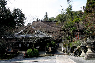 石山寺本堂 : ☆ 野草デジカメ日記☆