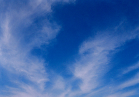 a0022625_23464563.jpg