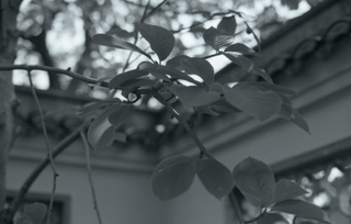 c0036053_19482977.jpg