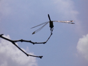 b0068572_0142081.jpg