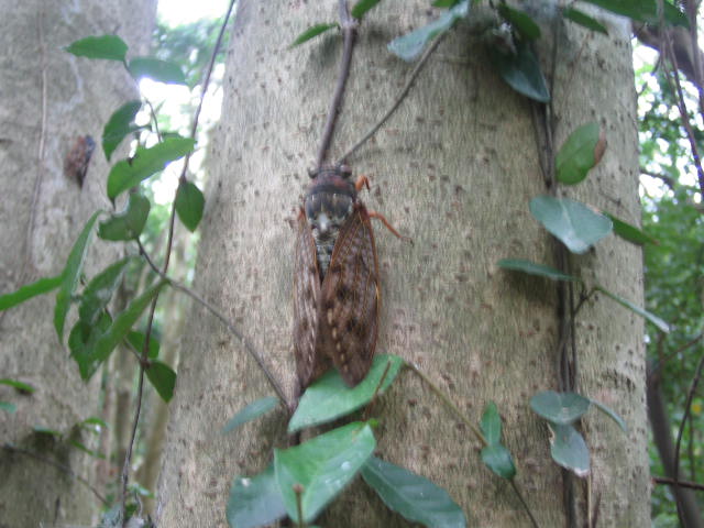 e0024081_16524124.jpg