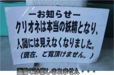 a0019994_21401397.gif