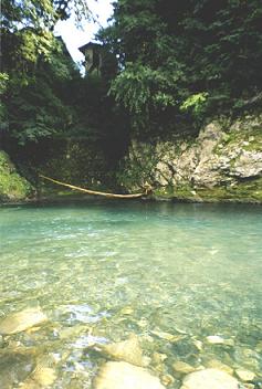 川遊び (Fiume)　_d0006400_024988.jpg