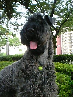 c0037701_21313627.jpg
