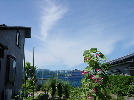 a0022752_481192.jpg