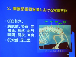 第2回日本獣医内科学アカデミー総会_b0059154_657916.jpg