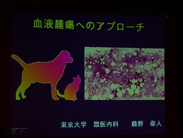 第2回日本獣医内科学アカデミー総会_b0059154_74987.jpg