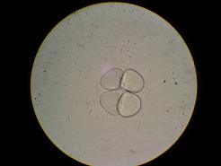 b0033175_1414755.jpg