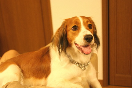 d0013149_0003.jpg