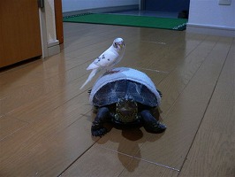 ナイスコンビ_b0059154_2354319.jpg