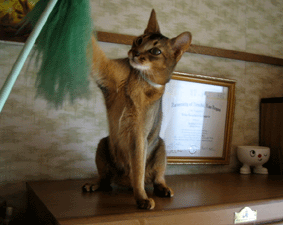 a0009397_2432775.gif