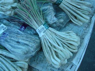 沖縄の島らっきょうを漬けました 沖縄から豚のいびき