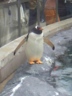 北海道～動物園編～_c0053130_1525316.jpg