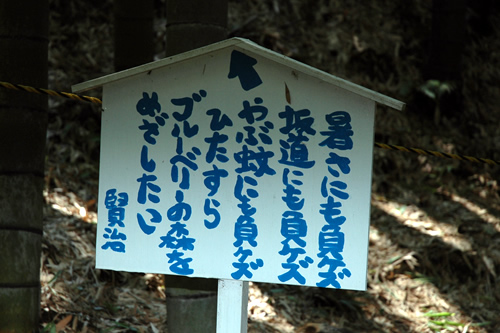 ブルーベリー狩り_b0016049_23185459.jpg