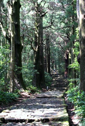 熊野古道　大門坂を歩く。　　_b0025850_15495594.jpg