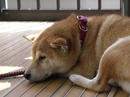 すっきり。。。_c0049950_22392923.jpg